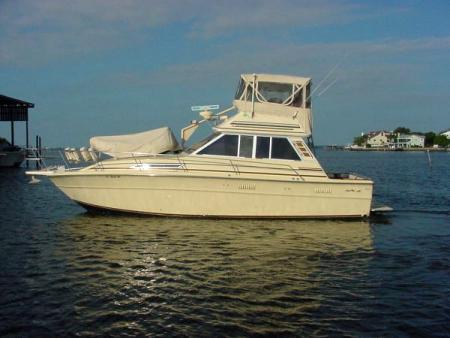 Sea Ray 36
